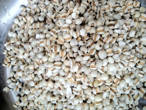 河北省安国市五大特产