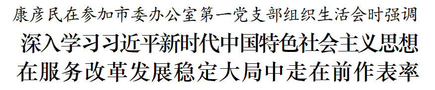 康彦民以普通党员身份参加市委办公室第一党支部组织生活会