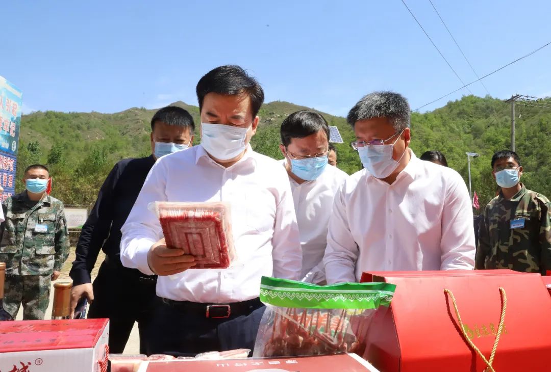 党晓龙到唐县调研：立足资源禀赋发展优势产业 做活绿色经济文章助力乡村振兴