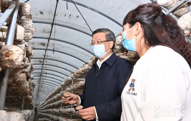 倪岳峰在我市调研时强调：积极融入京津冀协同发展大格局 努力交出保定高质量发展优异成绩单