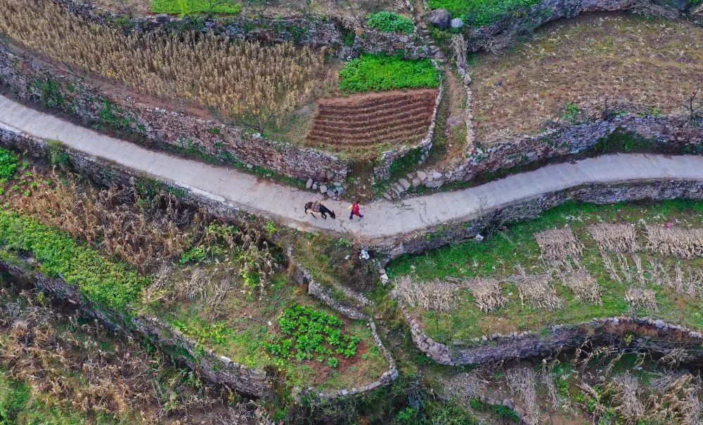 涉县的Ta，被新华社关注！