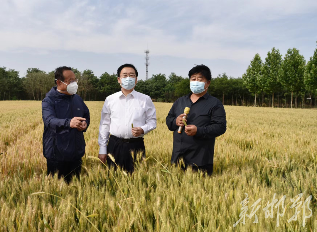 樊成华到成安县调研