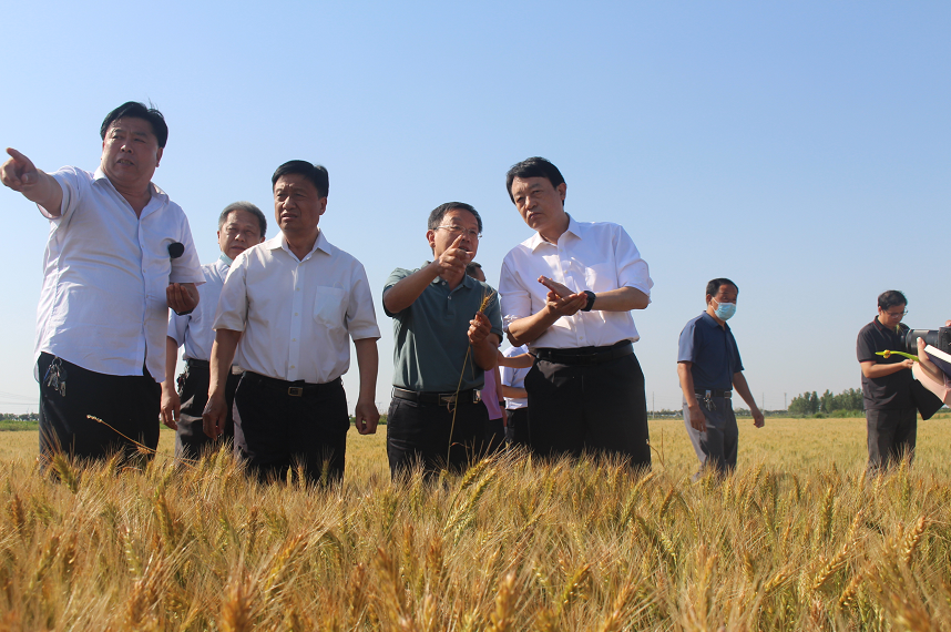 我市又添一省级农业标准化示范区！