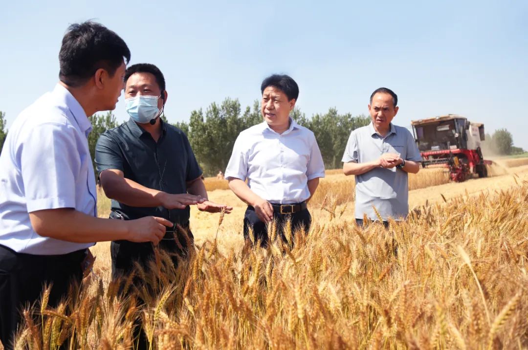 康彦民：不误农时抓好“三夏”生产工作 全力推进县域特色产业发展和县城建设