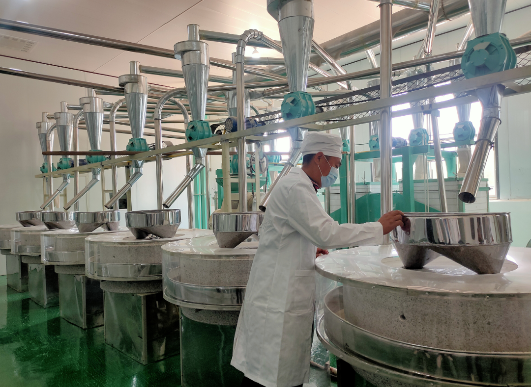 解放思想真抓实干｜“乡村振兴走在前列”县区行启动