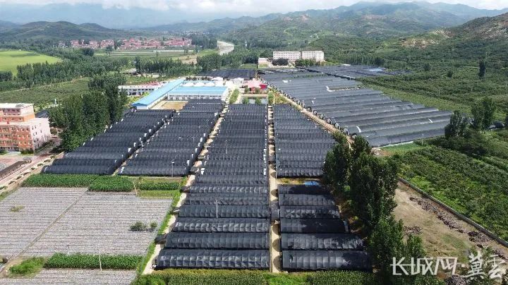 “六个青龙”助力秦皇岛加快建设一流国际旅游城市