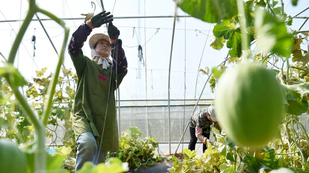 井陉，串珠成链兴太行 || 喜看县域新变化