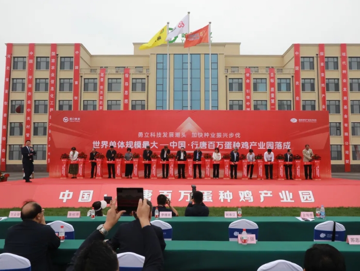 世界单体规模最大--中国·行唐百万蛋种鸡产业园落成