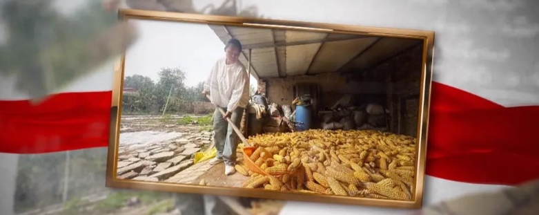 【邯郸好人】刘趁花：“孝”无言 柔肩撑起一片天