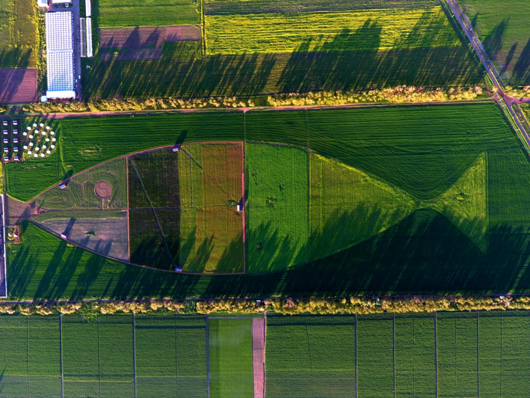 承德鱼儿山牧场：深化“农牧文旅”融合全力推动农场高质量发展