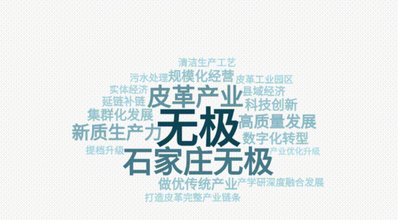 石家庄无极：凝聚创新合力 为皮革产业发展蓄势赋能