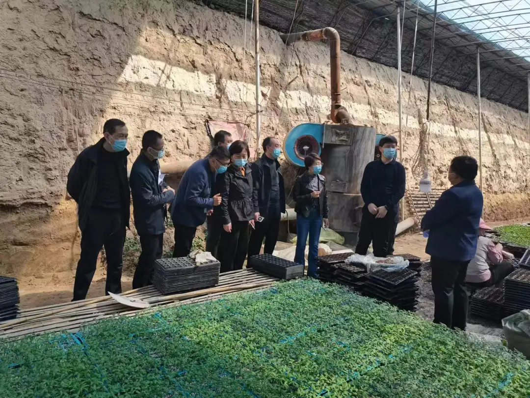 邢台市威县赵村镇前南寺庄村：提质增效 发展特色产业 | “双富”行动拾萃