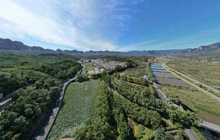 43个特色试点！让扩绿兴绿护绿 “家底”更丰厚