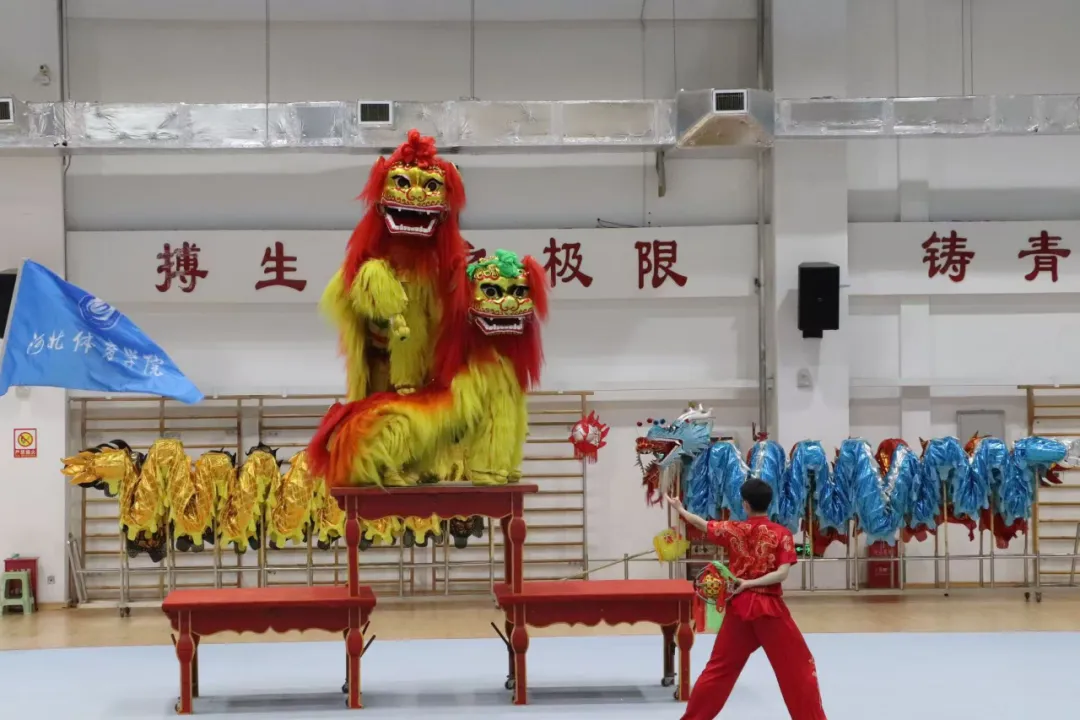 2024年河北省全民健身联赛舞龙舞狮比赛在河北体育学院举行