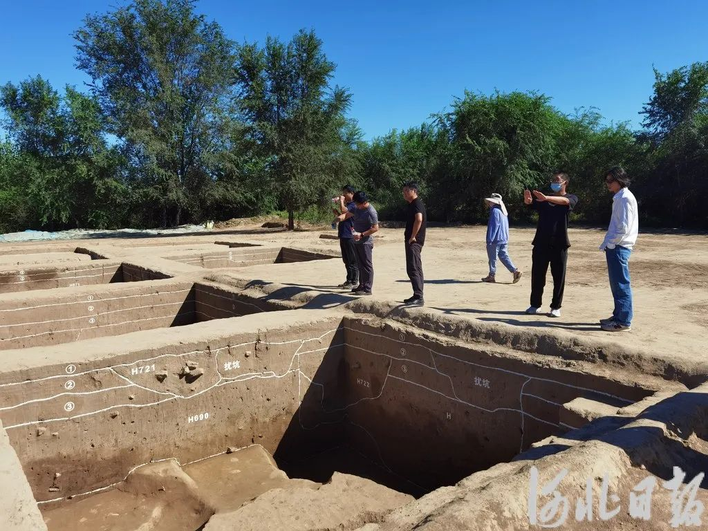 雄安文化-南阳遗址