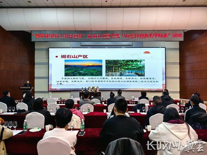 昌黎：干红酿酒师 打造就业“金招牌”