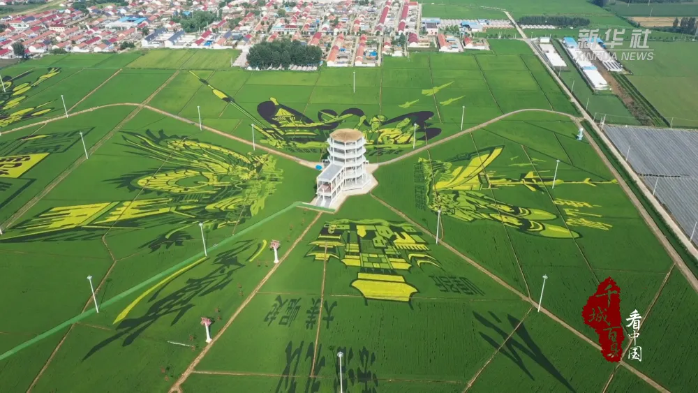 乡村“焕新颜”！这些地方让你梦回“桃源”