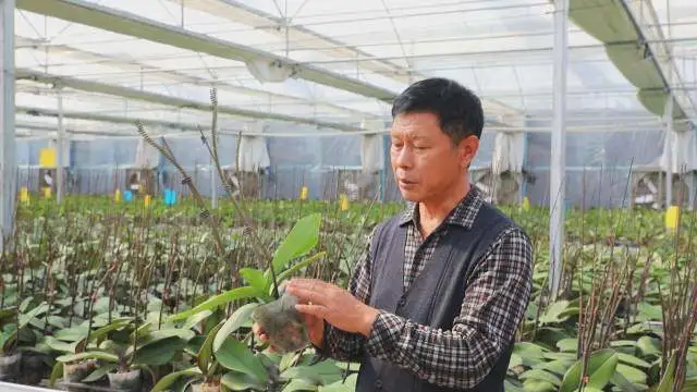 刘金松：投身乡村振兴 造福家乡父老