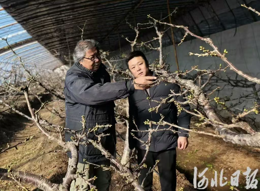 秦皇岛校地合作谱新篇！“点对点”服务助力乡村全面振兴