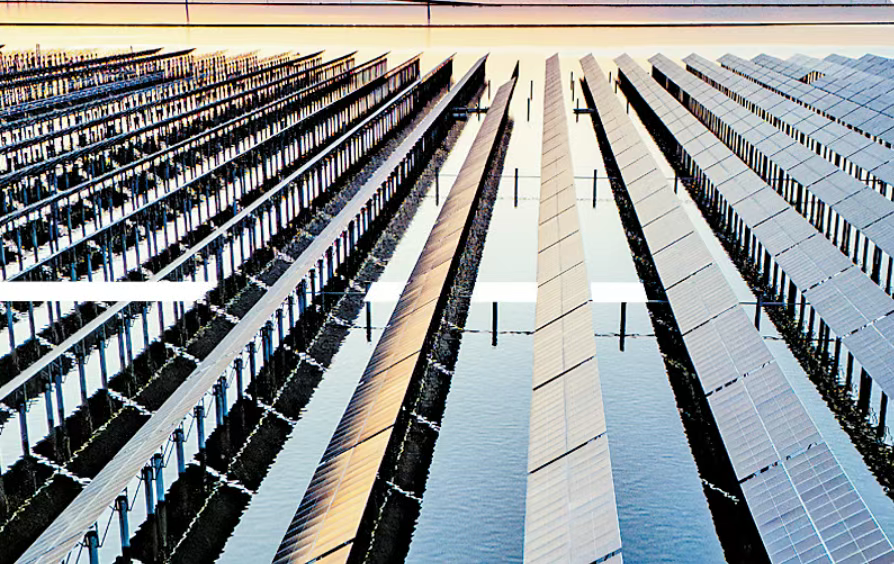 沧州：持续夯实高质量发展实体根基