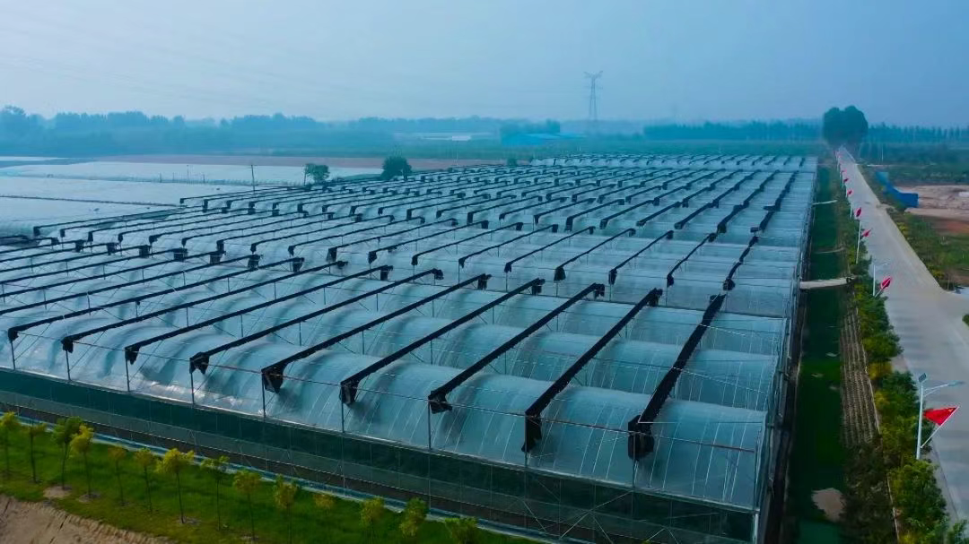 2025，正定这样干！——实施乡村振兴行动 推动全域融合发展