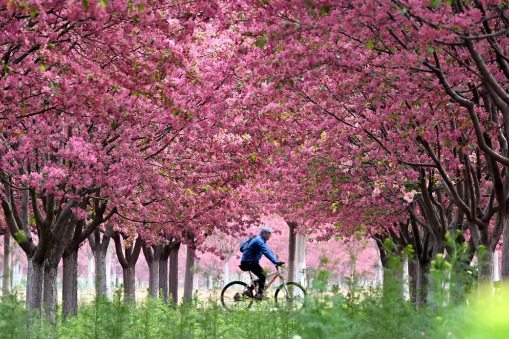 接下来的峰峰，是一万次的春和景明