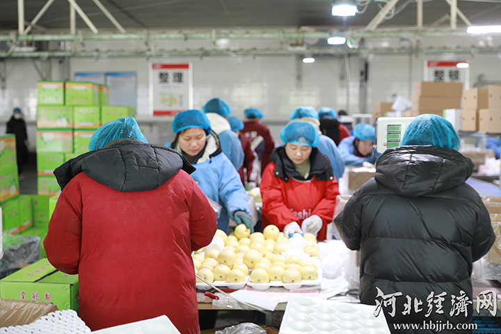 叮咚！长城果品鲜梨有一份海外新订单