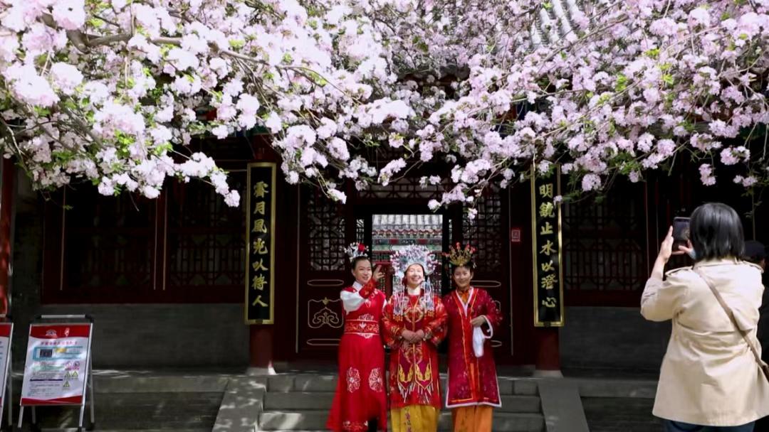 “奔县”首选！来这儿就对了！