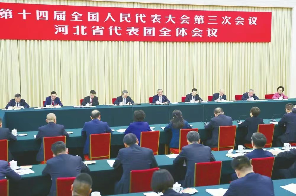 李强参加十四届全国人大三次会议河北代表团审议