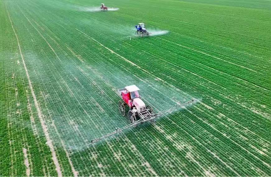 河北：唤醒沉睡土地资源 盐碱地变身“聚宝盆”