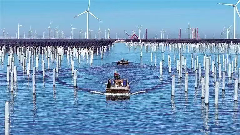 沧州新能源产业：破茧成蝶的“绿色突围”