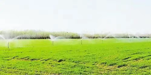 沧州新农人“慧”种地