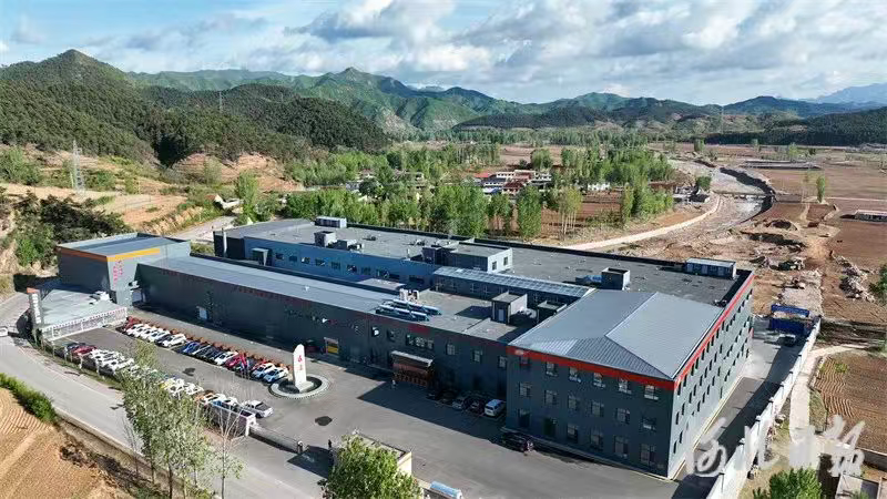 把山野珍品变成“世界味道”