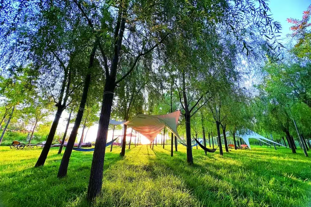 石家庄：露营走起，近郊也有别样的“诗和远方”