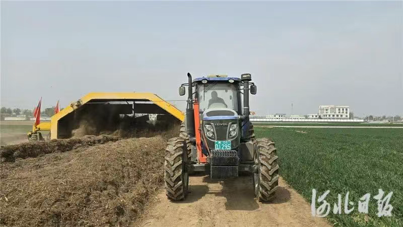 定州：生态包袱变身绿色财富