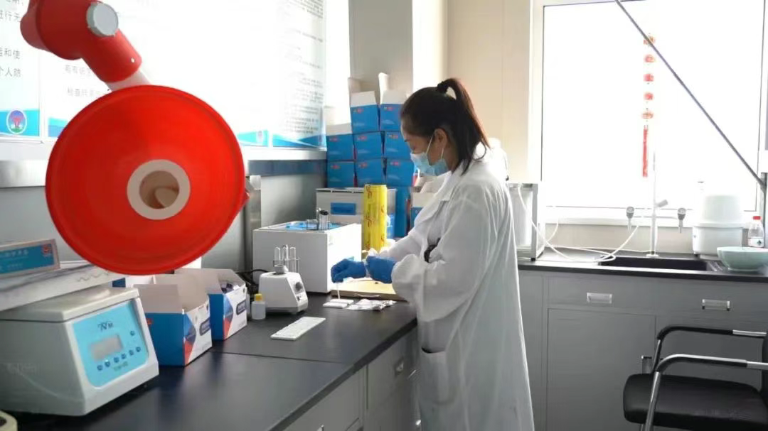 “巡察监督+政务服务”助力秦皇岛企业实现快速审批