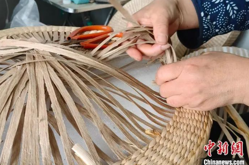 雄安“创富工坊”：“生态馈赠”变富民资源