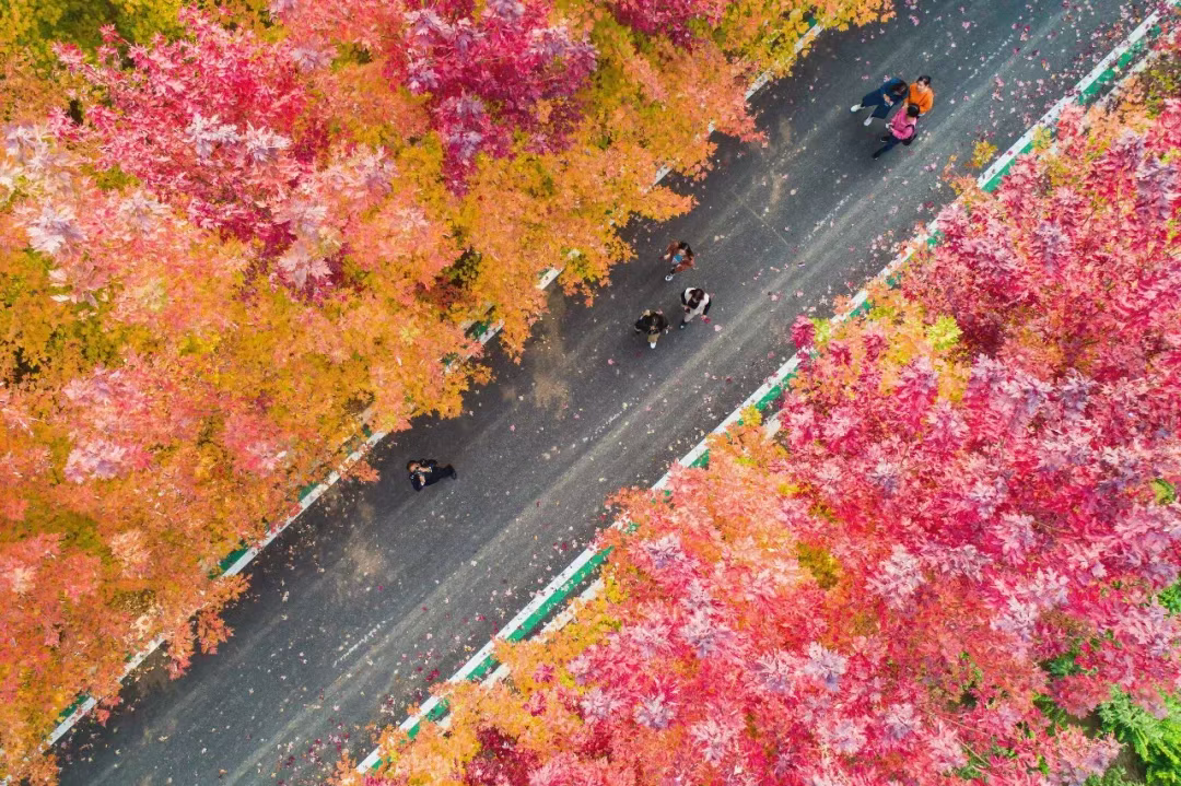 一“骑”出发！跟着这些宝藏路线游峰峰