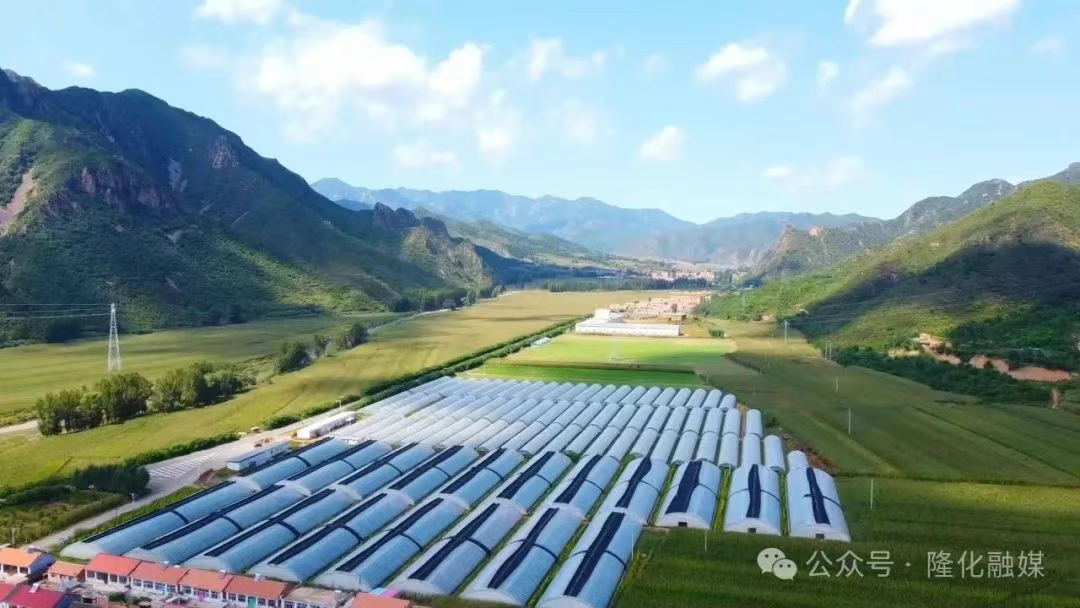 隆化：农产品加工产业集群“链”式崛起 释放发展新活力