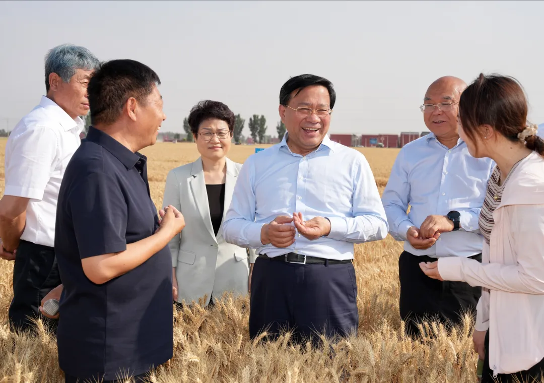 韩俊强调：扎实推进粮油作物大面积单产提升行动 全力以赴夯实全年粮食丰收基础