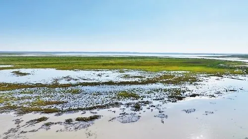 生态张家口 | 聚焦防沙治沙 察汗淖尔流域生态保护成效显著