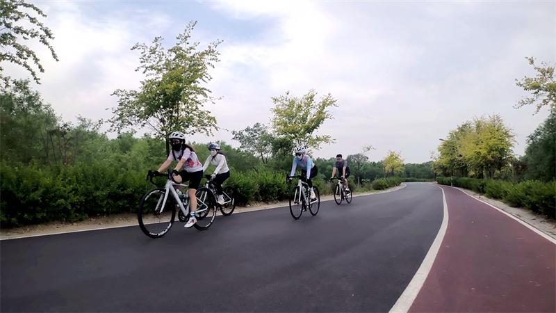 2024年全国“十大最美农村路”沧州市大运河堤顶路探访：亦行亦游，运河美景入画来