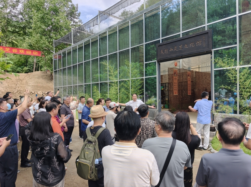 首届太行山灵芝文化节开幕