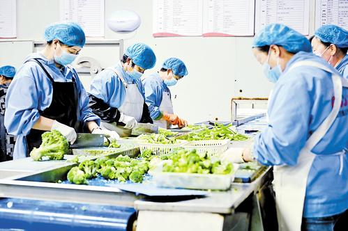 完善产业全链条，助力“河北净菜”新鲜直达