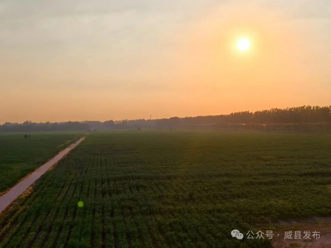 “智”绘好丰景 致富有保障