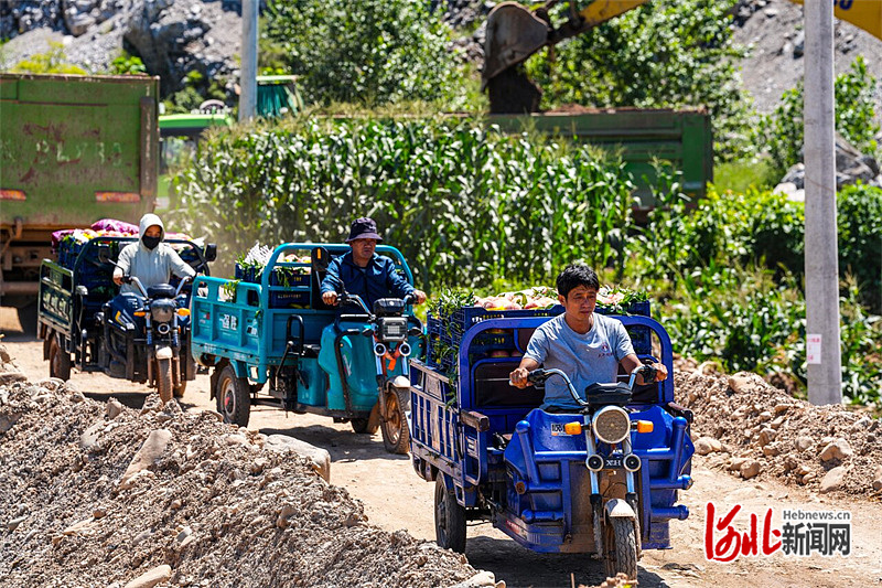保定易县：抢通水毁路 鲜桃运出村