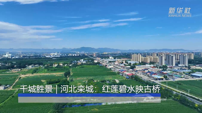 河北栾城：红莲碧水映古桥
