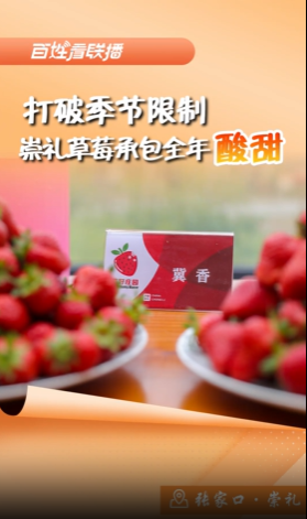 百姓看联播 | 打破季节限制 崇礼草莓承包全年“酸甜”