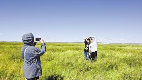 “生态药方”复活黄土湾草原