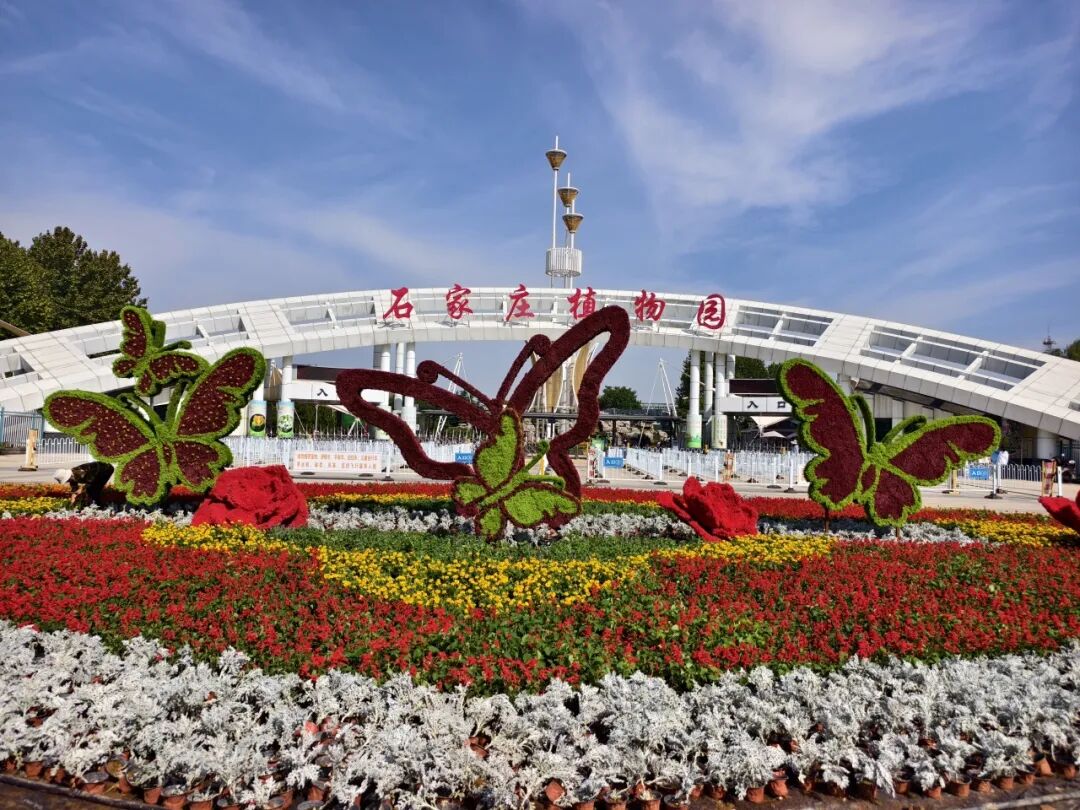 走，赏花去~这场盛大花展10月1日正式启幕！